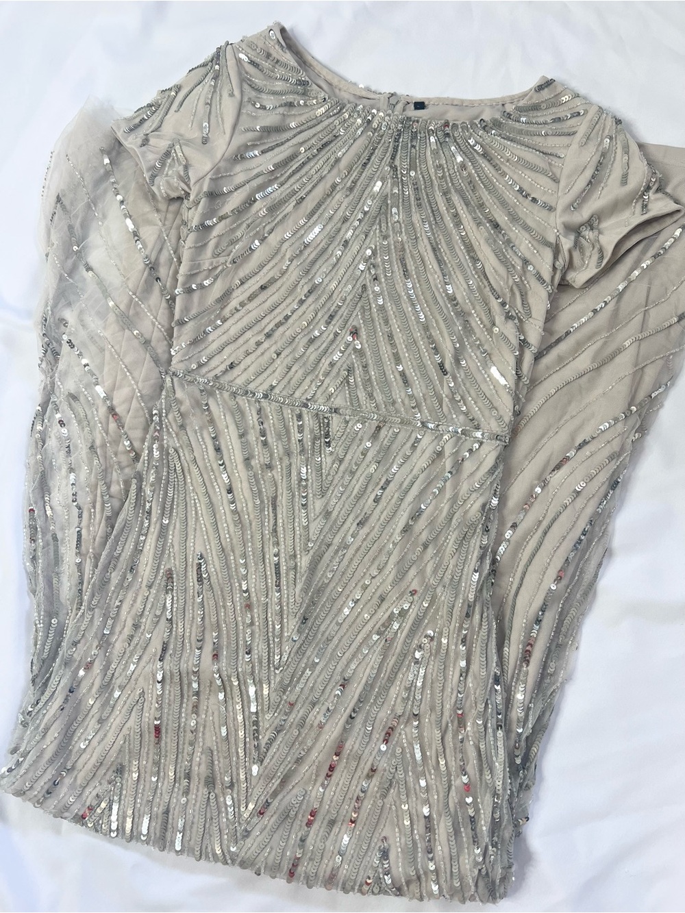 Beaded Silver-Accent Sheer long dress